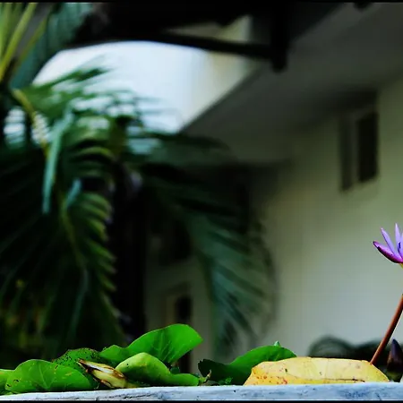Mount Villa-2